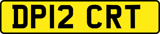 DP12CRT