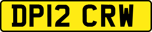 DP12CRW