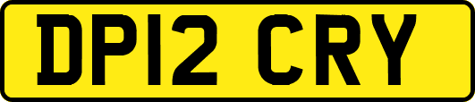 DP12CRY