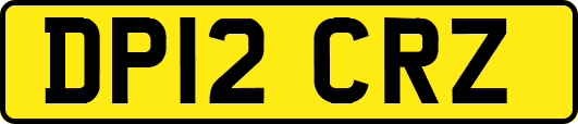 DP12CRZ
