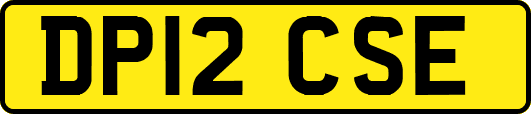 DP12CSE