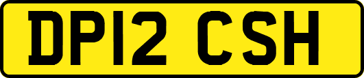 DP12CSH