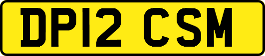 DP12CSM