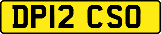 DP12CSO