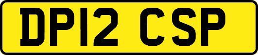 DP12CSP