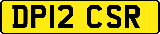 DP12CSR