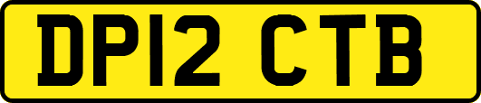 DP12CTB
