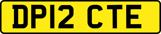 DP12CTE
