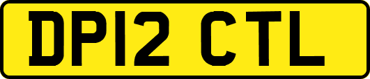 DP12CTL