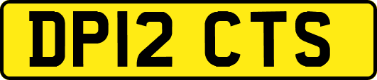 DP12CTS