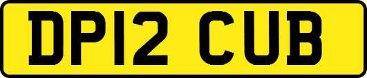 DP12CUB