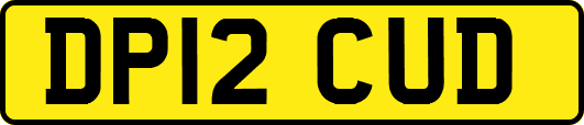 DP12CUD