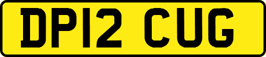 DP12CUG