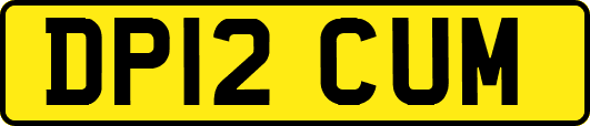 DP12CUM