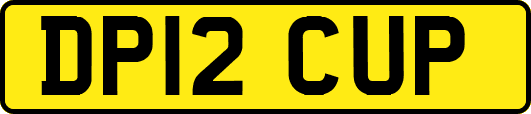 DP12CUP
