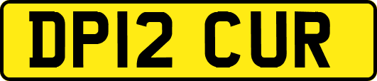 DP12CUR