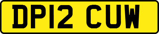 DP12CUW
