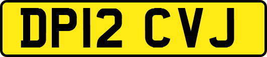 DP12CVJ