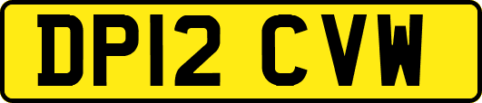DP12CVW