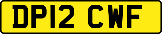 DP12CWF
