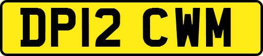 DP12CWM
