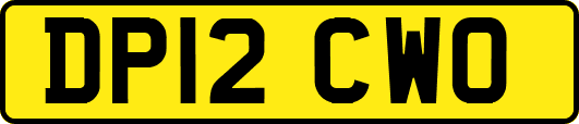 DP12CWO