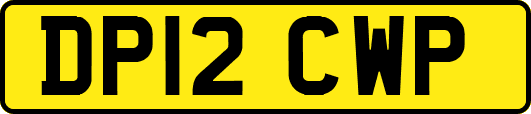 DP12CWP