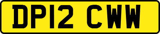 DP12CWW