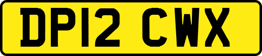 DP12CWX
