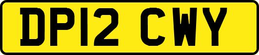 DP12CWY