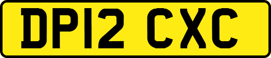 DP12CXC