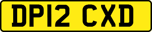 DP12CXD