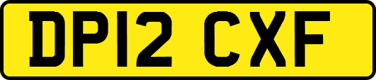 DP12CXF