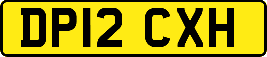DP12CXH