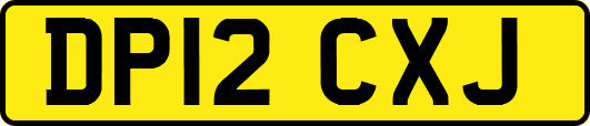 DP12CXJ