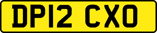 DP12CXO