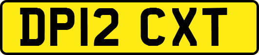 DP12CXT