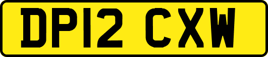 DP12CXW