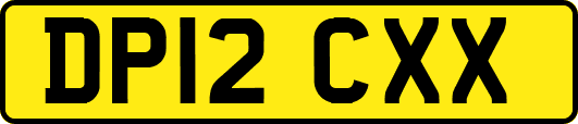 DP12CXX