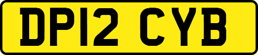 DP12CYB