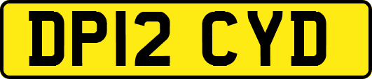 DP12CYD
