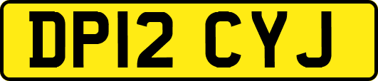 DP12CYJ
