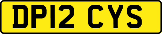 DP12CYS