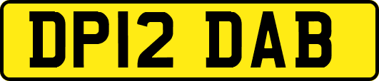 DP12DAB
