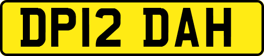 DP12DAH