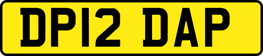 DP12DAP