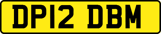 DP12DBM