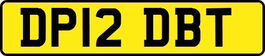 DP12DBT