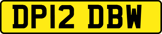 DP12DBW
