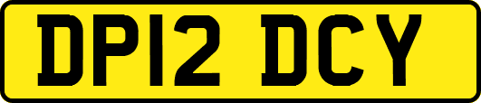 DP12DCY